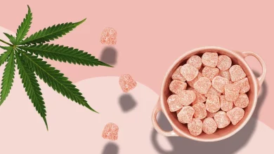 The Benefits of CBD.co CBD Gummies: Which Flavor is Right for You?